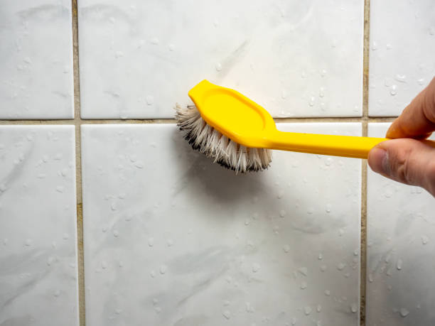 Best Residential Mold Remediation in Sussex, WI