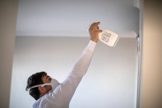 Best Kitchen Mold Remediation in Sussex, WI